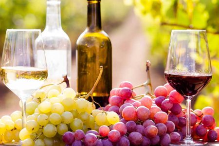 Wine Tours 7 Days
