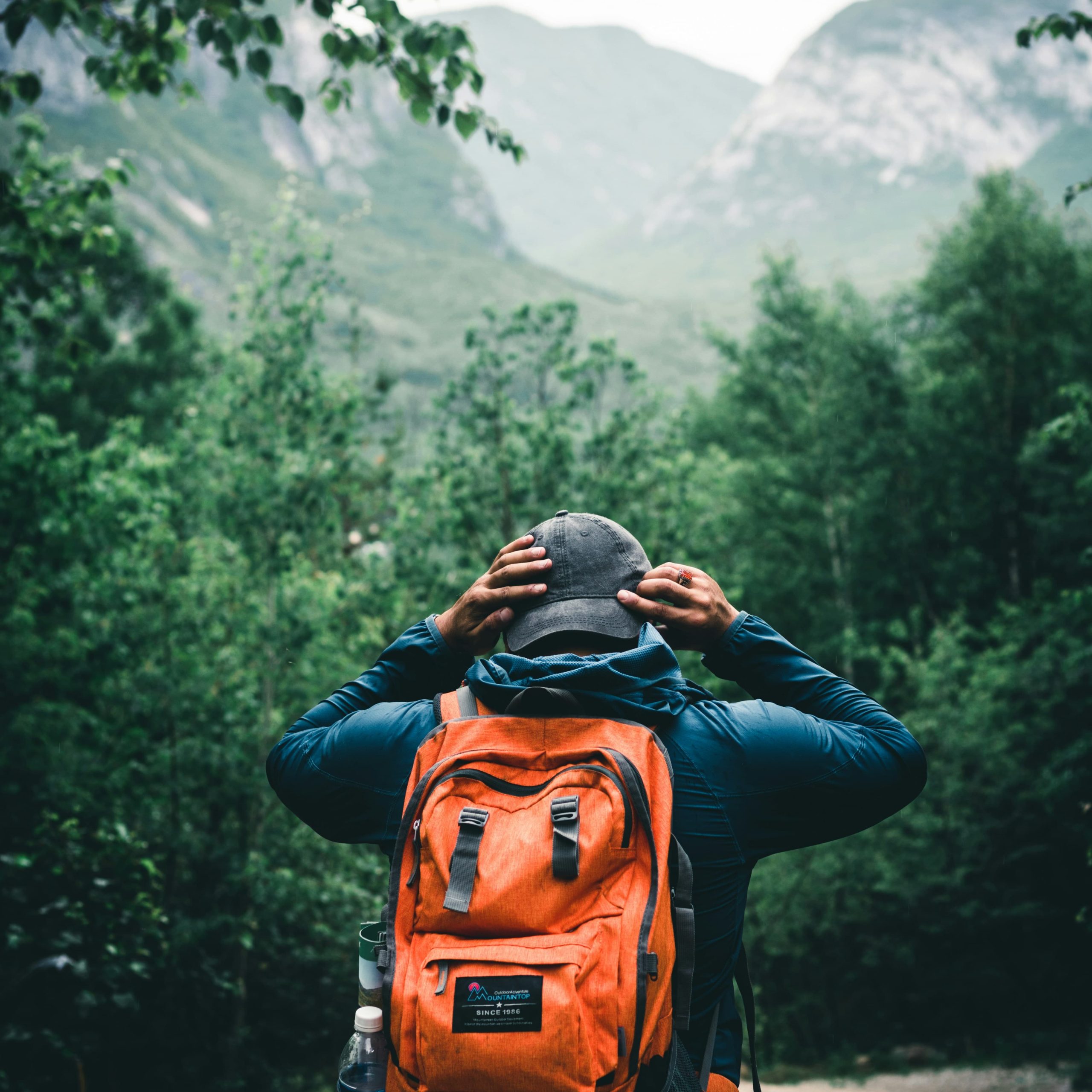 driver vs guide to travel to Georgia